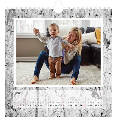 Calendriers annuels carré — Bois à l'état pur [couverture]