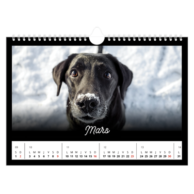 Calendrier photo A4 — Diapositive [Mars]