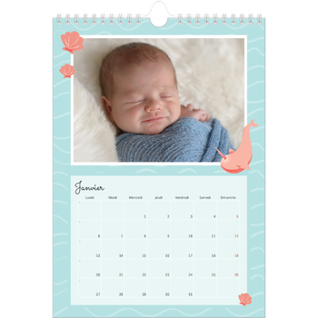 Calendrier photo A4 — Mes petits animaux
