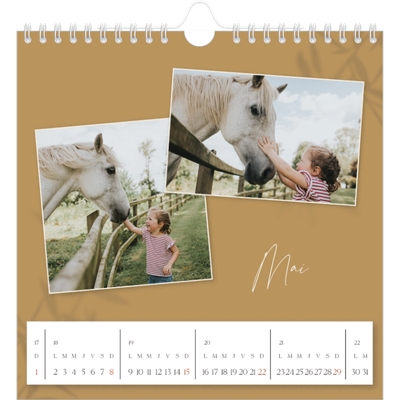 Calendriers annuels carré — Terre à terre [couverture]