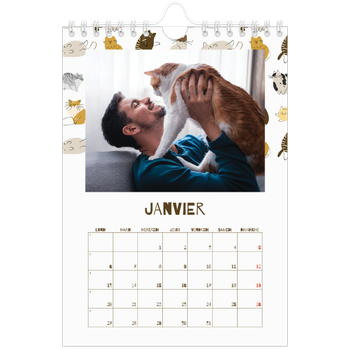 Calendrier photo A5 — Chaton joueur