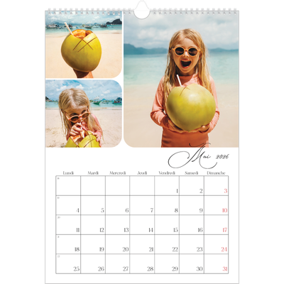 A3 Calendrier annuel — Instantanés et calligraphie [couverture]