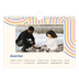 Calendrier photo A5 — Rayures rétros [Janvier]