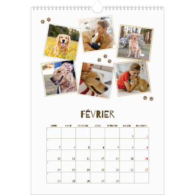 A3 Calendrier annuel — Chiot joueur [Février]