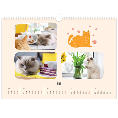 Calendrier photo A3 — Pattes de chat et gribouillis [couverture]