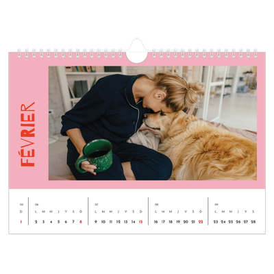 Calendrier photo A4 — Tout en couleurs [Février]