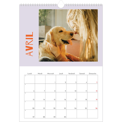A3 Calendrier annuel — Tout en couleurs [Avril]