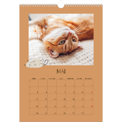 A3 Calendrier annuel — Chaton joueur [couverture]