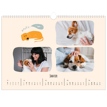 Calendrier photo A3 — Pattes de chien et gribouillis