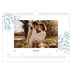 Calendrier photo A4 — Romance en bleu et blanc [Mars]