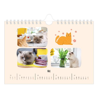 Calendrier photo A5 — Pattes de chat et gribouillis [couverture]