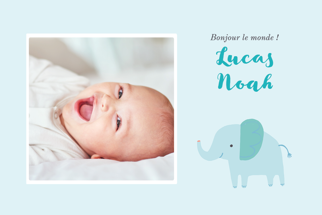 Cartons d'invitation — Élephant bleu