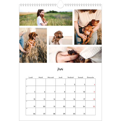 A3 Calendrier annuel — Arrangements photo [couverture]
