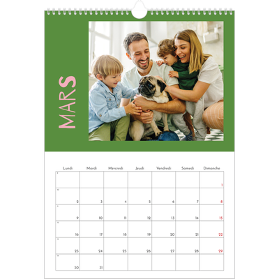 A3 Calendrier annuel — Tout en couleurs [Mars]