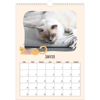 Calendrier photo A3 — Pattes de chat et gribouillis