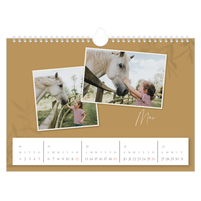 Calendrier photo A4 — Terre à terre [couverture]