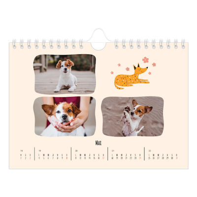 Calendrier photo A5 — Pattes de chien et gribouillis [couverture]