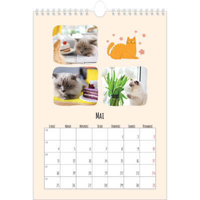 Calendrier photo A4 (20 x 30 cm) — Pattes de chat et gribouillis [couverture]