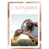 A3 Calendrier annuel — Effet pinceau [couverture]