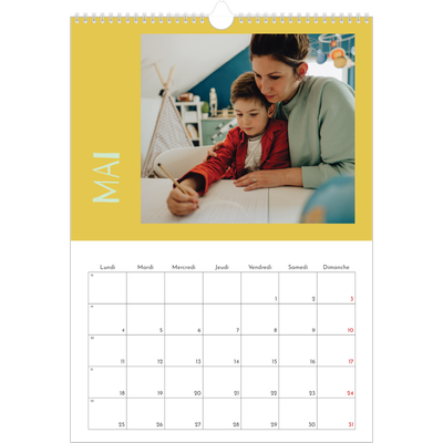 A3 Calendrier annuel — Tout en couleurs [couverture]