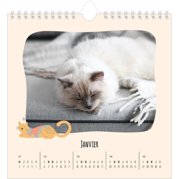 Calendrier photo carré — Pattes de chat et gribouillis
