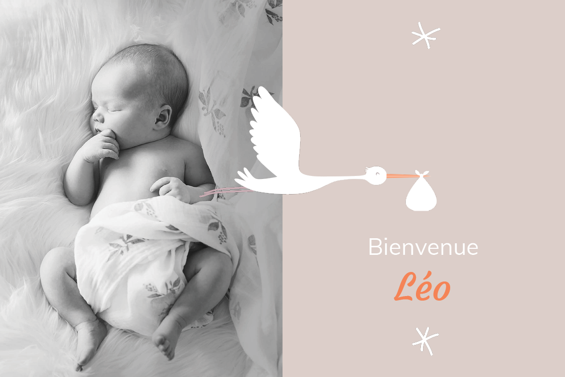 Cartons d'invitation — Mon amie la cigogne