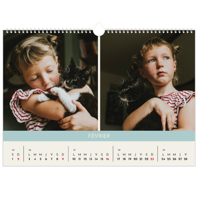 Calendrier photo A3 — Chapitres pastel [Février]