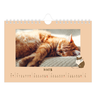 Calendrier photo A5 — Chaton joueur [Mars]