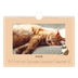 Calendrier photo A5 — Chaton joueur [Mars]