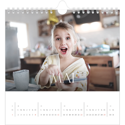 Calendriers annuels carré — Douze jolis mois [couverture]