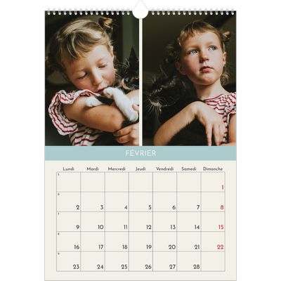 A3 Calendrier annuel — Chapitres pastel [Février]