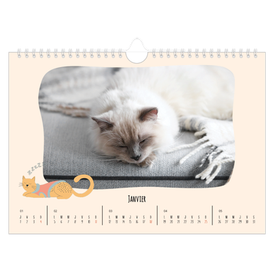 Calendrier photo A4 — Pattes de chat et gribouillis [Janvier]