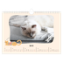 Calendrier photo A4 — Pattes de chat et gribouillis [Janvier]