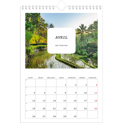 Calendrier photo A4 (20 x 30 cm) — Toute l'histoire [Avril]