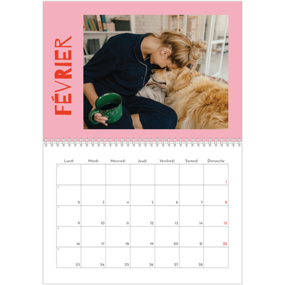 Calendrier photo A4 double (30 x 40 cm) — Tout en couleurs [Février]