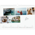 Calendrier photo A3 — Escapade citadine [Mai]