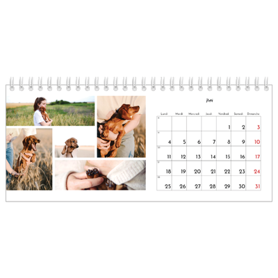 Calendrier de bureau — Arrangements photo [couverture]