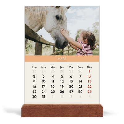 Calendrier de bureau support bois - portrait  — Chapitres pastel [Mars]