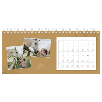 Calendrier de bureau — Terre à terre [couverture]