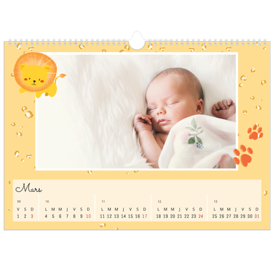 Calendrier photo A3 — Mes petits animaux [Mars]