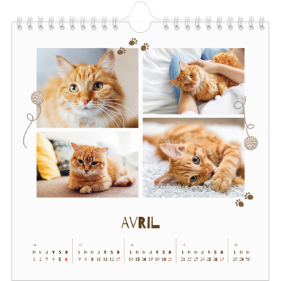 Calendriers annuels carré — Chaton joueur [Avril]