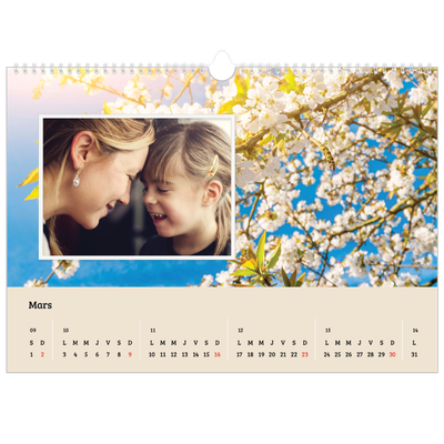 Calendrier photo A3 — Saison en immersion [Mars]