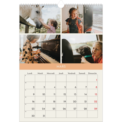 A3 Calendrier annuel — Chapitres pastel [Mars]
