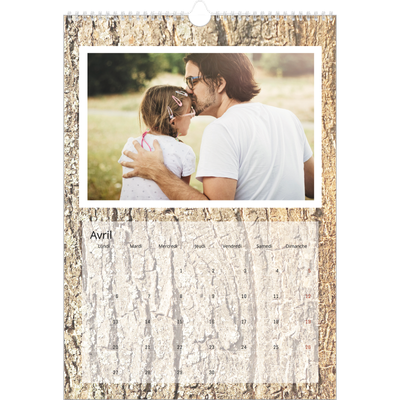 A3 Calendrier annuel — Bois à l'état pur [Avril]