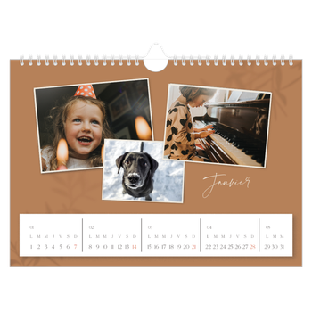 Calendrier photo A4 — Terre à terre