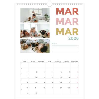 A3 Calendrier annuel — Lettrage coloré [Mars]