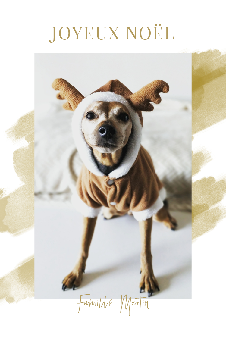 Faire-part & Cartes — Aquarelle dorée