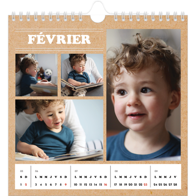 Calendriers annuels carré — Chronique de l'année [Février]