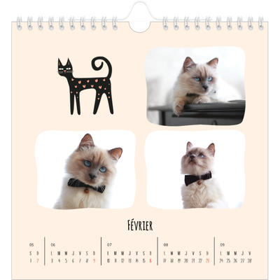 Calendriers annuels carré — Pattes de chat et gribouillis [Février]