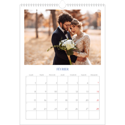 A3 Calendrier annuel — Classique cobalt [Février]